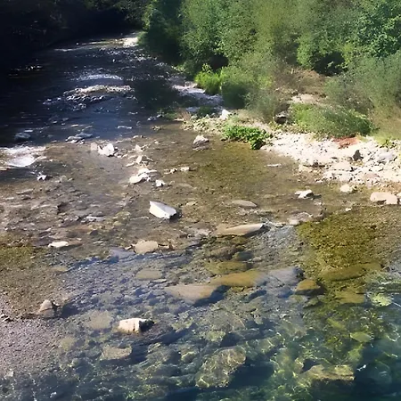 Waldrefugium Gmunden - Ferienapartment Fuer Familie Und Hund פינסדורף