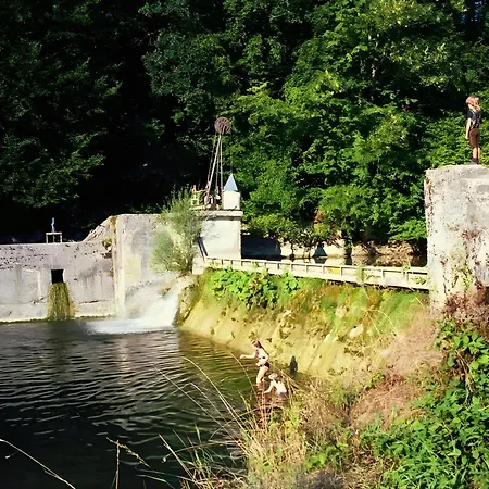 Waldrefugium Nahe Gmunden - Ferienapartment Fuer Familie Und Hund Nyaraló *