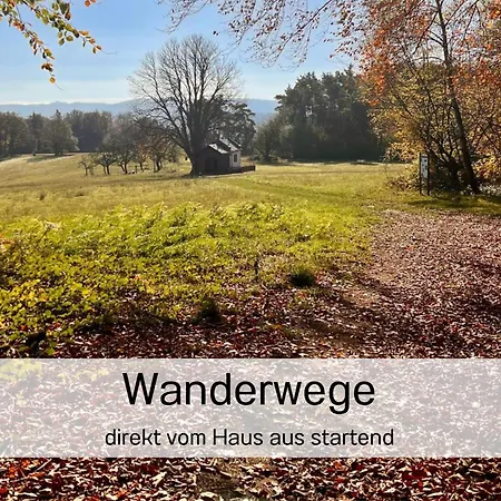 Waldrefugium Gmunden - Ferienapartment Fuer Familie Und Hund *