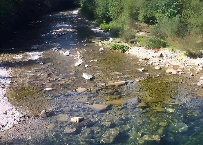 Waldrefugium Nahe Gmunden - Ferienapartment Fuer Familie Und Hund Pinsdorf