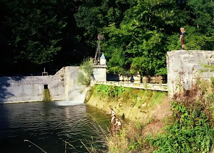 Waldrefugium Nahe Gmunden - Ferienapartment Fuer Familie Und Hund Σπίτι διακοπών *