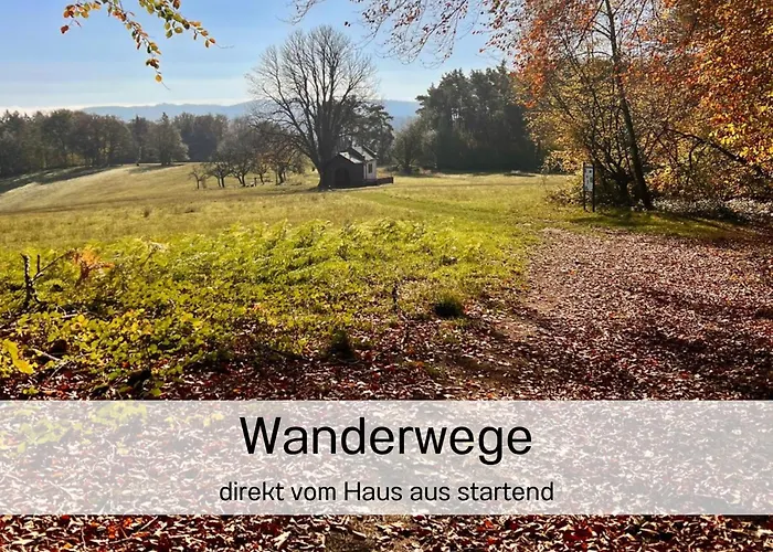 Waldrefugium Nahe Gmunden - Ferienapartment Fuer Familie Und Hund *